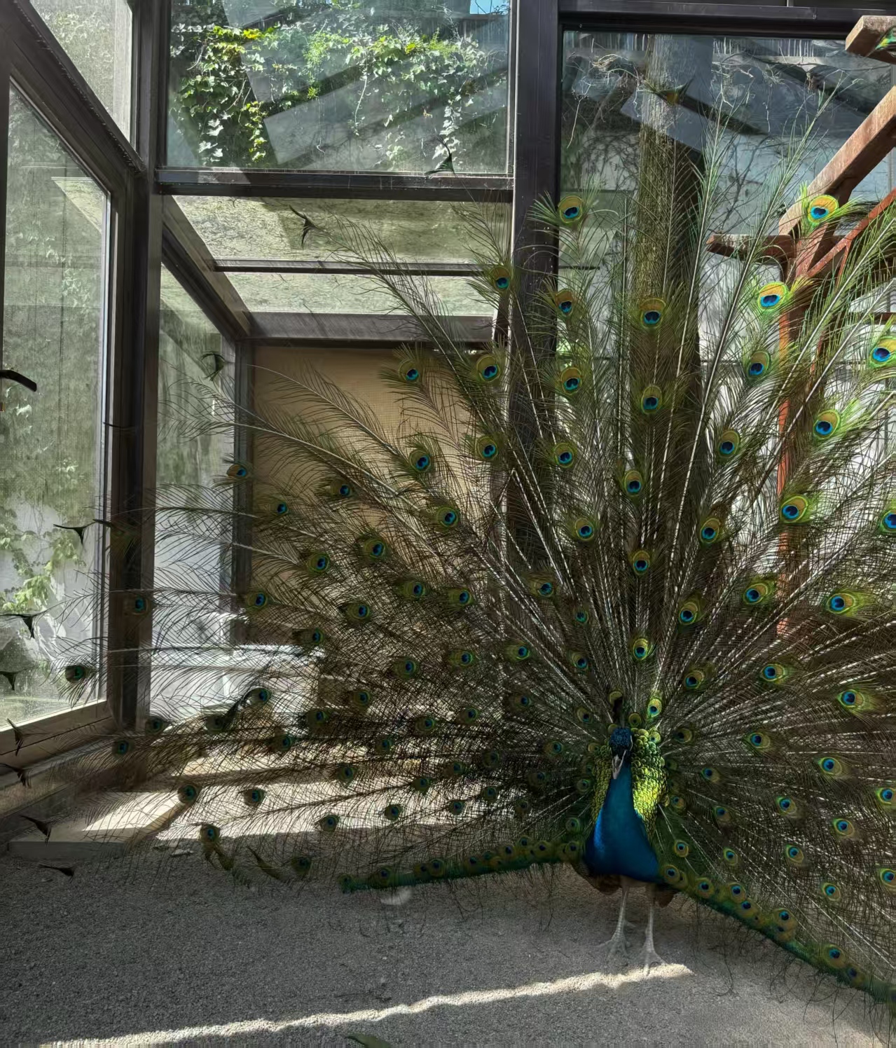 创业项目：掀开成功的序幕，引领未来的创新之旅-首码项目网-创业网-全球领先的创业项目网站-淘灵感首码网